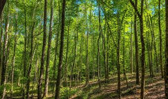 SW Auburn Drive, Bogue Chitto, MS 39629