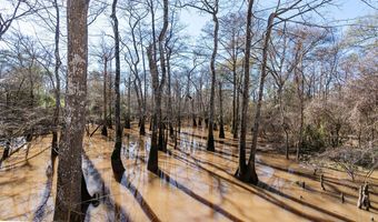 24422 ARROWHEAD Rd, Ponchatoula, LA 70454