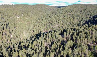 Lot4 Henry Summit Dr PINEY WOODS #5, High Rolls Mountain Park, NM 88325