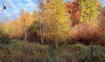 31538 County 23, Akeley, MN 56433