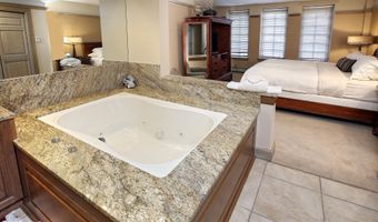 46 Avondale Lane Unit 505 Week 47 & 48 505, Week 47 & 48, Beaver Creek, CO 81620