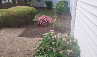 985 Goldenrod Trl, Aurora, OH 44202