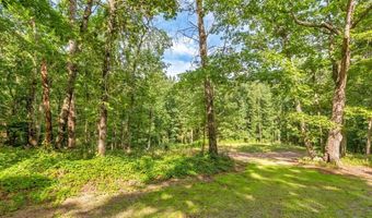 173 Hogan Pond Ln, Ball Ground, GA 30107