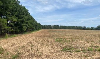 1 County Road 91, Banks, AL 36005