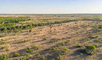 County Road 239, Afton, TX 79220