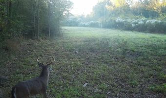 561 Church Rd, Batesburg, SC 29006