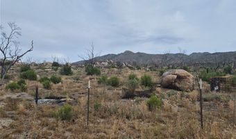 1 Tule Peak Rd, Anza, CA 92536