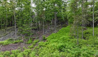 Lightening Ridge Road lot 2, Calais, VT 05650