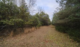 14061 Erdman Rd, Arcadia, MI 49613