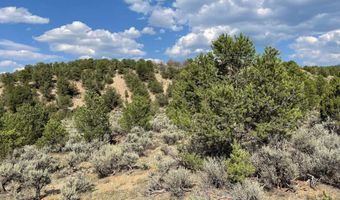 Tres Lomas, Arroyo Hondo, NM 87513
