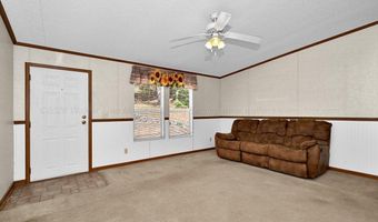 1007 COUNTY ROAD 4005, Arley, AL 35541