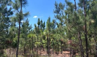 001 West Rd, Bethune, SC 29009