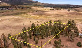 159 Correctional Center Rd, Alpine, AZ 85920