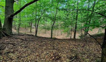 Maxey Road unit 7.2 Acres 7.2 Acres, Arcadia, MI 49613