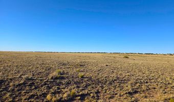 CR 5074 lot 4, Concho, AZ 85924