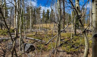 270 Co Rd 667 Lot 0, Alma, CO 80440