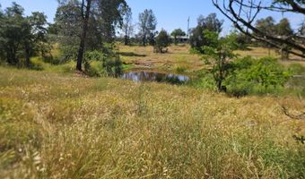 17705 Coyote Ln, Anderson, CA 96007