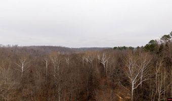 CR 19-A, Alton, MO 65606