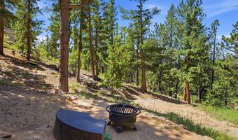 212 Elk Pl, Black Hawk, CO 80422