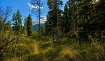 123 Wapiti Way, Basalt, CO 81621