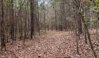 Crouch Road 3, Benton, LA 71006