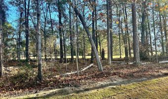 226 Quiet Side Ct, Blythewood, SC 29016