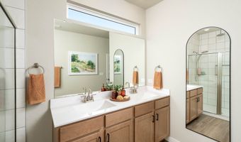 14515 Prairie Clover Plan: Wisteria, San Antonio, TX 78253