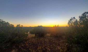1 COUNTY ROAD N8155, Concho, AZ 85924