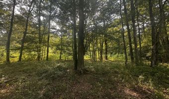 137 Shorter Rd, Braxton, MS 39044