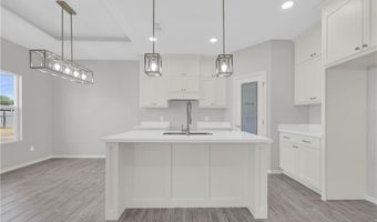 429 Serg Loop, Alamo, TX 78516