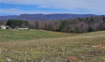 00 Willas Gap Rd 43, Ararat, VA 24053