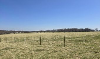 23594 Lawrence 1200, Aurora, MO 65605