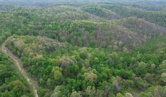 1271 A Tunnel Ridge Rd, Argillite, KY 41121