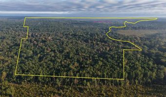 0 Lloyd Mill Rd, Andalusia, AL 36421