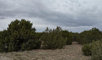 55 ACR 8050 14, Concho, AZ 85924