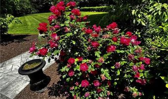 446 Bellevue Ave 6, Newport, RI 02840
