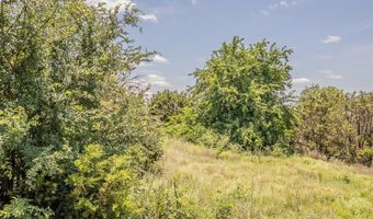 113 Denton Heights Ln, Weatherford, TX 76085
