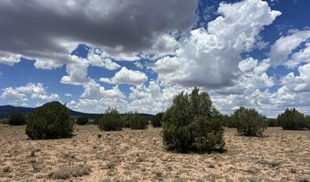 59 Rocky Rabbit Rd, Ash Fork, AZ 86320
