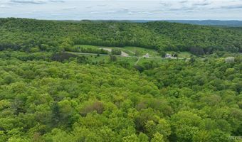 3090 Morgan Hollow Rd, Allegany, NY 14706