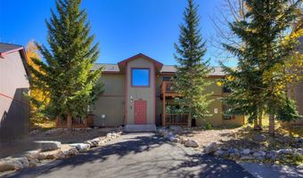 306 ILLINOIS GULCH Rd 113, Breckenridge, CO 80424