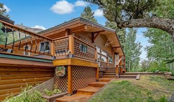 209 Deer Path Ln, Almont, CO 81230