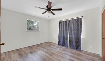 724 E Ellis Ave, Alamo, TX 78516