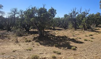 4 County Rd, Concho, AZ 85924