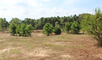 TBD CR 314, Henderson, TX 75652