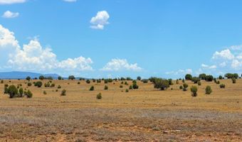 215 Gleed Station Rd Lot A 10 Acre, Ash Fork, AZ 86320