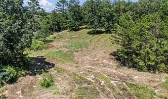 425 Hartwick Ln, Atkins, AR 72823