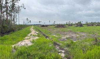 9 219 Ac Rhine Alma GA Rd, Alma, GA 31510
