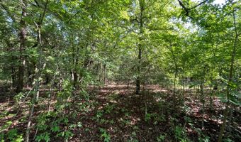 796 Blue Branch Rd, Bennington, OK 74723