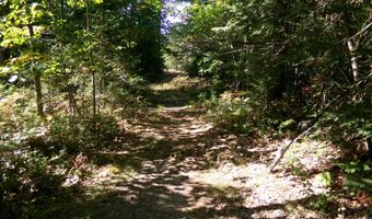 V/L 30AC Lake Winyah Road, Alpena, MI 49707