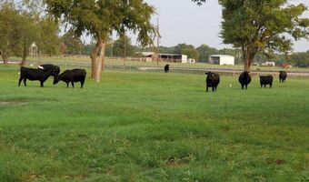 4991 Old Millsap Rd, Millsap, TX 76066